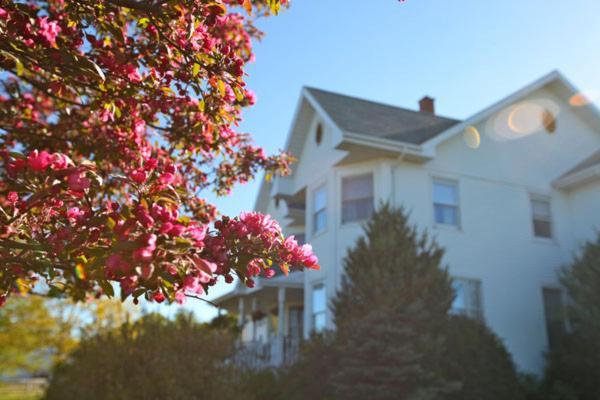 Twin Peaks B&B Mindemoya ภายนอก รูปภาพ